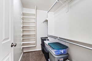 Spacious closet featuring dark colored carpet