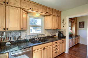 Kitchen with tasteful backsplash, dark wood-type flooring, sink, dark stone countertops, and stainless steel dishwasher