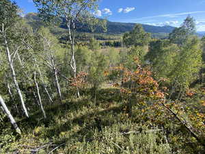 View of land below back deck