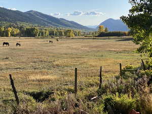 Field below cabin