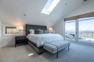 Bedroom featuring access to exterior, multiple windows, and lofted ceiling with skylight