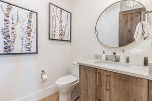 Bathroom featuring vanity, hardwood / wood-style floors, and toilet