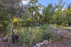 View of garden