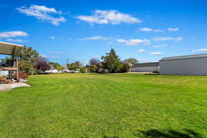 View of yard featuring a patio