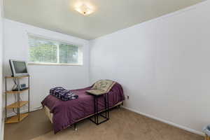 Bedroom with ornamental molding and carpet