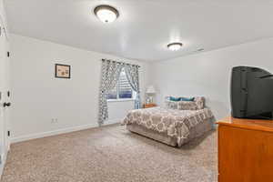 Carpeted bedroom featuring a textured ceiling