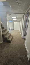 Basement featuring carpet flooring