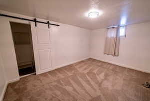 Basement featuring a barn door and carpet floors