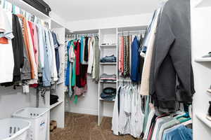 Spacious closet with dark colored carpet