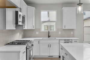 Kitchen with white cabinets, a healthy amount of sunlight, and stainless steel appliances