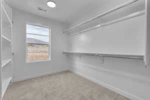 Spacious closet featuring light colored carpet