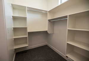 Spacious closet featuring carpet