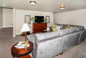 Carpeted living room with a textured ceiling