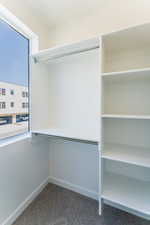 Spacious closet featuring carpet flooring