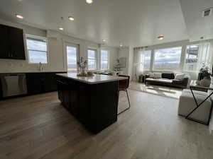 Kitchen with light wood-type flooring, a healthy amount of sunlight, stainless steel dishwasher, and a kitchen island