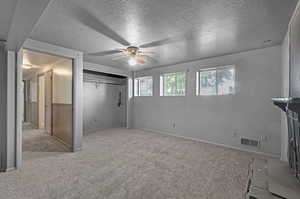 Basement Bedroom or Living Room with Fireplace