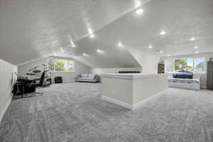 Interior space with light colored carpet, a textured ceiling, and vaulted ceiling