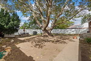 View of back yard