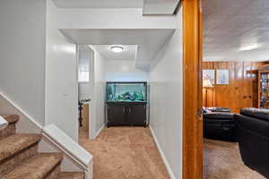 Interior space featuring wooden walls and light colored carpet