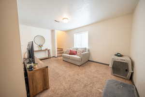 Basement Family room