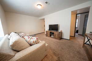 Basement Family room