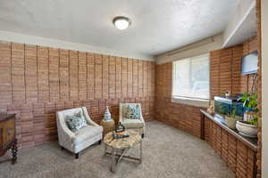 Living area with brick wall, carpet floors, and a textured ceiling