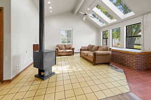 Family Room Vaulted ceiling, 3 Skylights