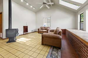 Family Room Vaulted ceiling, 3 Skylights