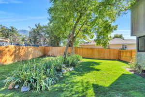 View of yard featuring a mountain view