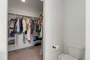 Spacious closet with carpet flooring