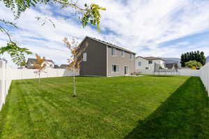 View of yard with a trampoline