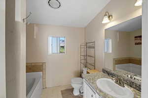 Bathroom featuring vanity, a washtub, and toilet