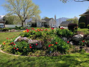 View of yard with a mountain view