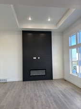 Room details with a tray ceiling, a large fireplace, and wood-type flooring