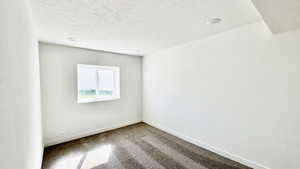 Unfurnished room featuring carpet and a textured ceiling