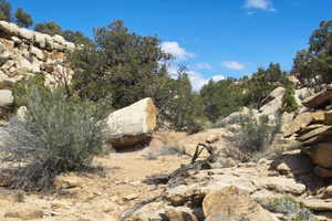 View of landscape