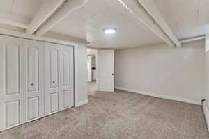 Basement featuring light carpet and a baseboard radiator