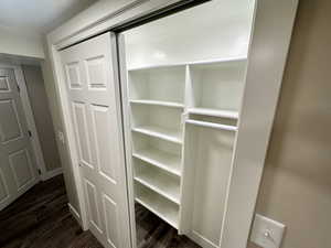 Downstairs Hall Linen/Storage Closet with Organizers