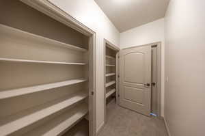 Hallway closet storage