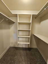 Spacious closet with dark carpet