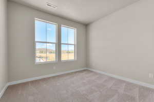 Carpeted spare room with a textured ceiling