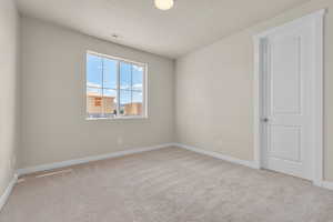 Unfurnished room featuring a textured ceiling and light colored carpet