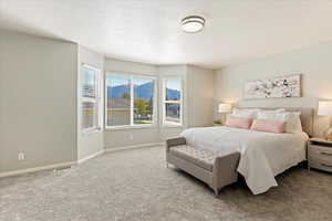 Carpeted bedroom with a textured ceiling