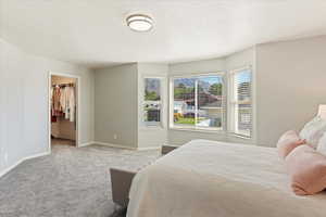 Carpeted bedroom featuring a closet and a walk in closet