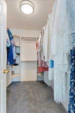 Walk in closet with carpet flooring