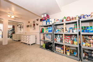 Storage area featuring ceiling fan