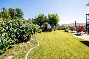 View of yard with a patio