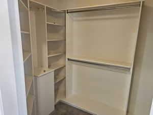 Spacious closet featuring carpet floors