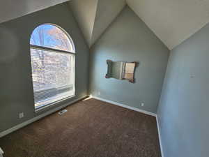 newly Carpeted empty room featuring lofted ceiling