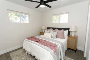 Bedroom featuring multiple windows, carpet, and ceiling fan